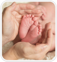 babies feet cupped by adult